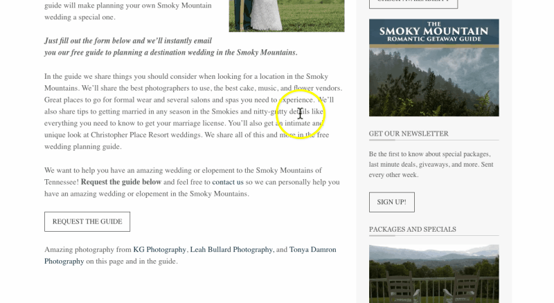 Christopher Place attracts couples planning a wedding with this MonsterLink. - OptinMonster Christopher Place attracts couples planning a wedding with this MonsterLink.