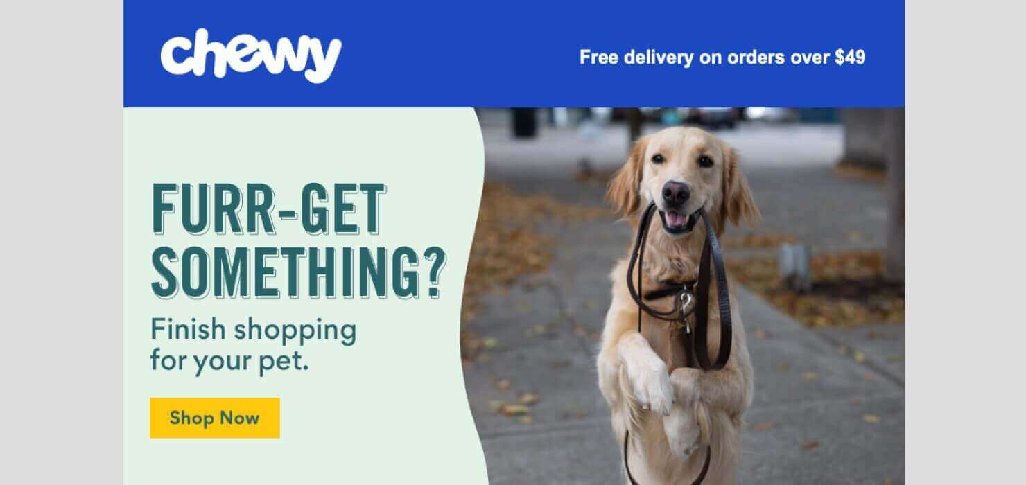 chewy-winback-email-example - OptinMonster Email from Chewy with a photo of a golden retriever. It says "Furr-Get Something? Finish shopping for your pet." CTA button says "Shop Now"
