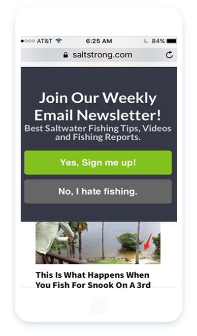 saltstrong-optinmonster-mobile-optin-slidein - OptinMonster SaltStrong mobile optins avoid Google's mobile penalty