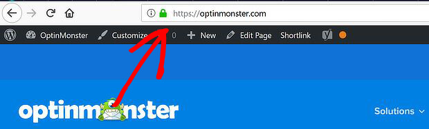 site-security-is-one-of-the-seo-ranking-factors - OptinMonster seo ranking factors include site security