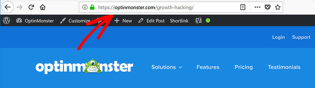 url example - OptinMonster how to use keywords in the url