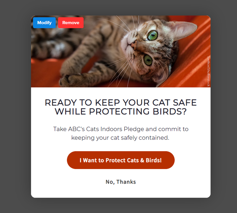 image7 - OptinMonster image7